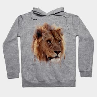 Lion Head watercolor Hoodie